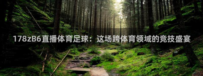 178zB6直播体育足球：这场跨体育领域的竞技盛宴