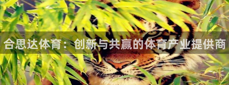 吼鲸鱼