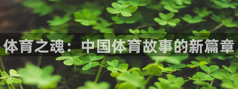 花斑鲸鱼