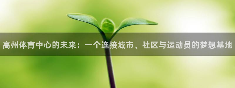鲸鱼体育直播在线观看免费