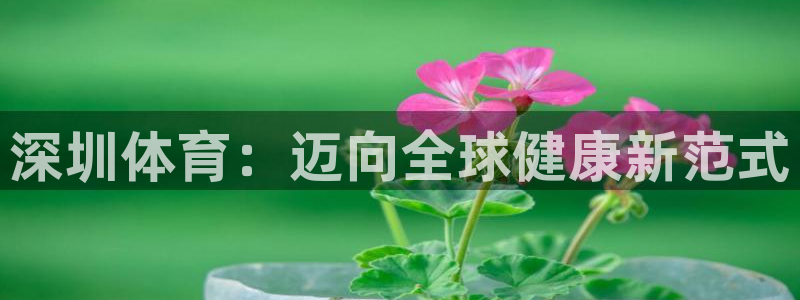鲸鱼动物
