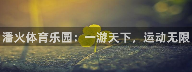 海马鲸鱼