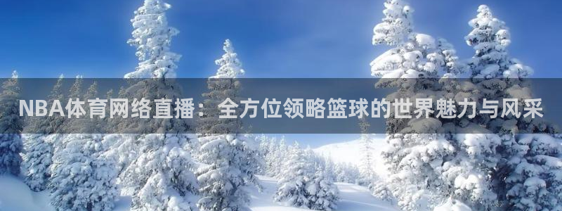 鲸鱼回家