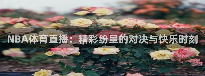 恐龙时代的鲸鱼
