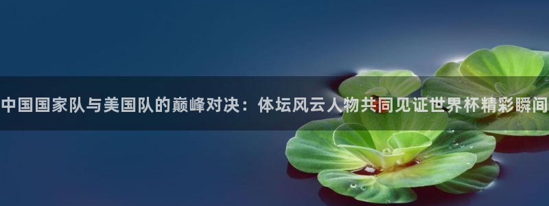 音响 鲸鱼座