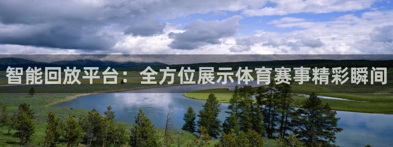 渤海有鲸鱼吗