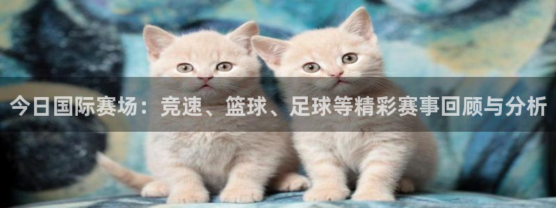 鲸鱼体育用品