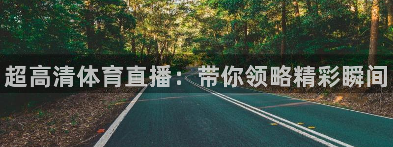 火山鲸鱼