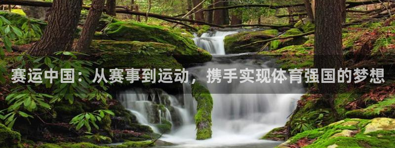 鲸鱼体育直播平台